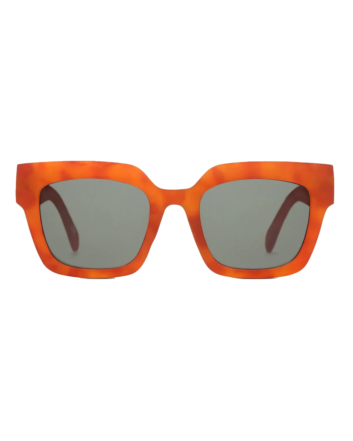 Belden Sunglasses in Brown Tortoise