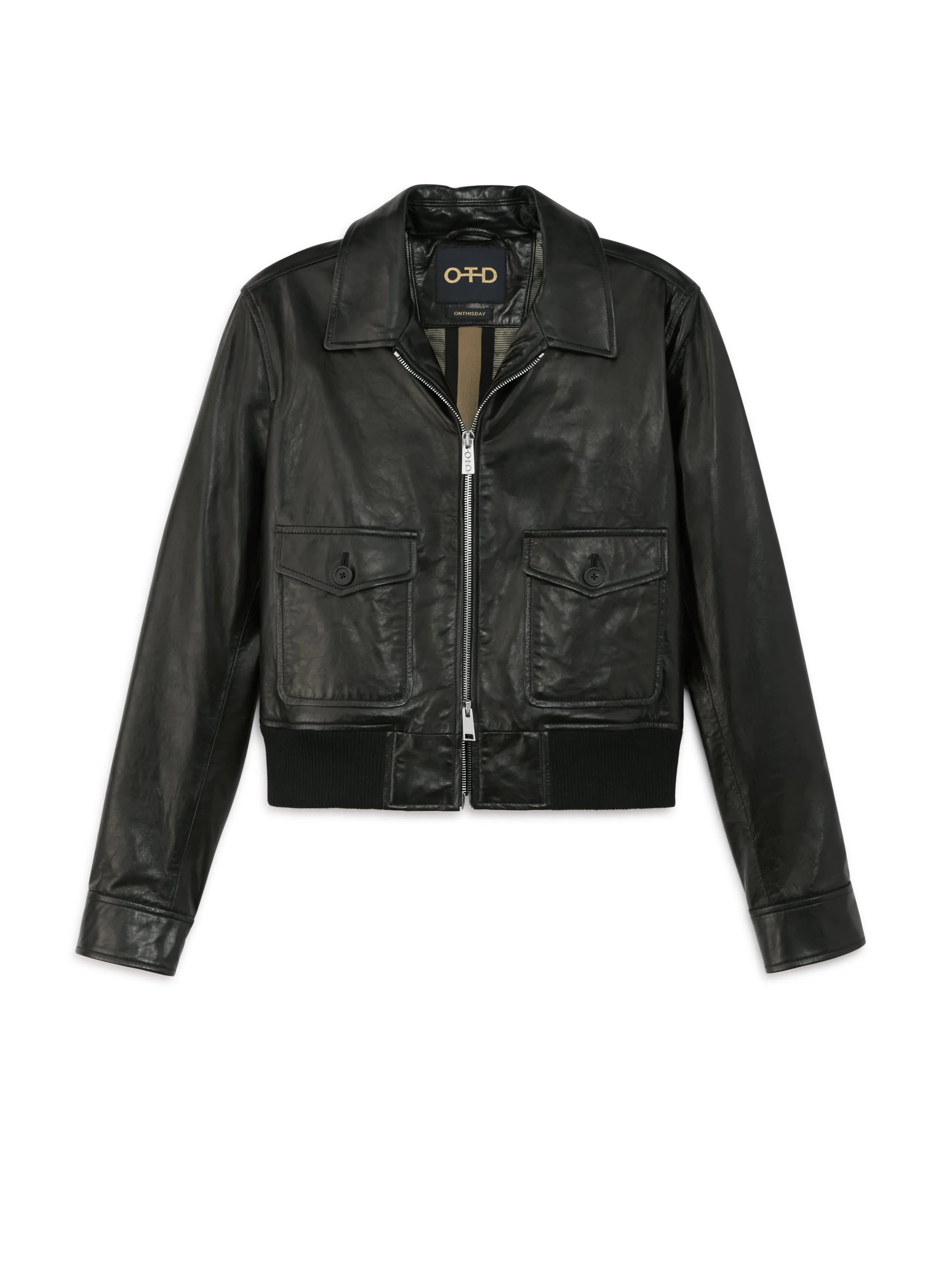 Leather Aviator Jacket