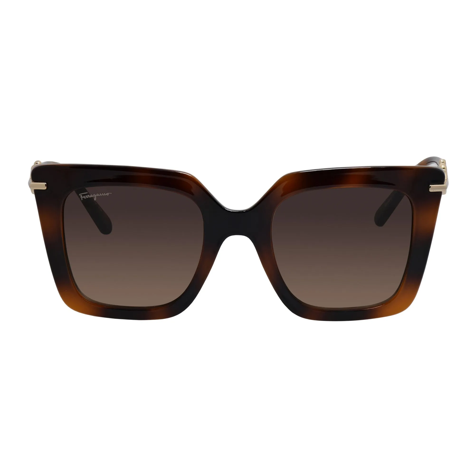 Salvatore Ferragamo Womens Havana Sunglasses SF_1041S_238