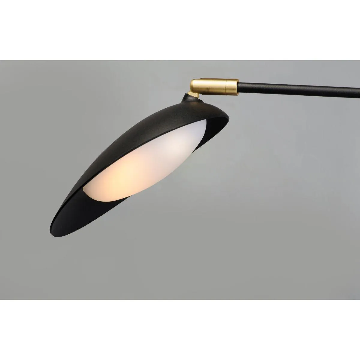 Scan 40 In. 2 Lights LED Armed Sconce Black Finish