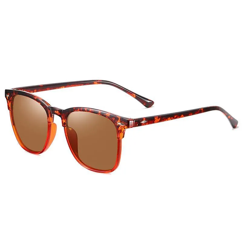 Unisex Polarized Browline Sunglasses Zeta